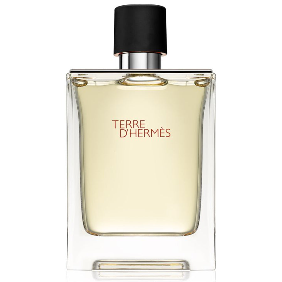 Hermes Terre Hermes - 100ML - Parfum