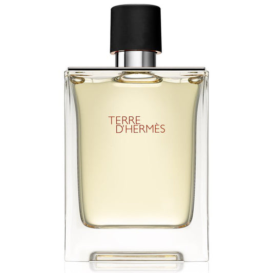 Hermes Terre Hermes - 100ML - Parfum